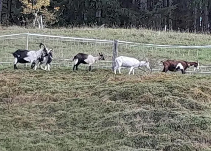 Apartmán Haus Weissbacher Wildschoenau